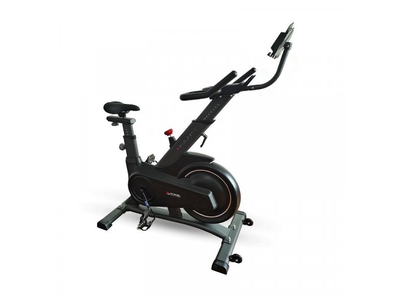 Bicicleta spinning z100 pro hot sale